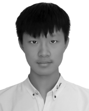 Hongwei Hou