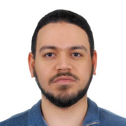 Amr El-Desoky Mousa