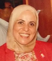 Nermine A. Harraz