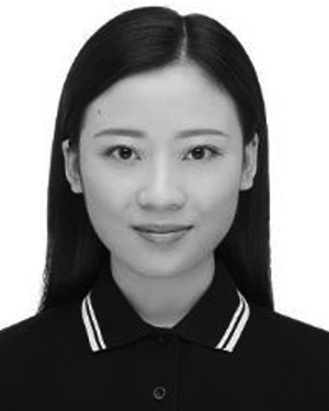 Yajie Li