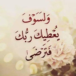 Somaia Mohamed