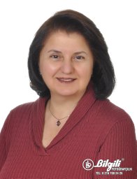 Gulseren Akyuz