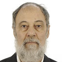V. N. Udodov