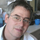 Andras Boros