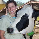Pamela J Hullinger