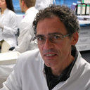 Robert David