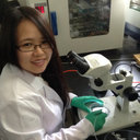 Wenjie Yao