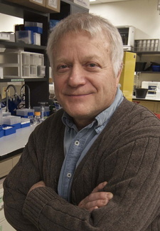William Elmquist
