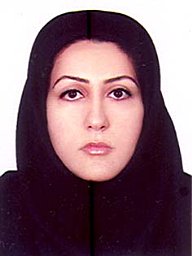 H. Javaheri Barfourooshi