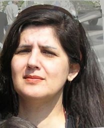 Katherine A. Liapi