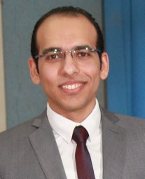 Ahmed M Amer