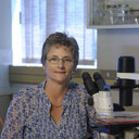 Estelle H Venter