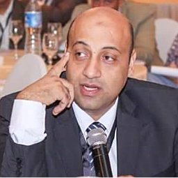 Ayman M. Bahaa-ElDin