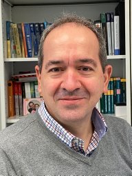 Enrique A. Lopez-Poveda