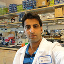 Bijender Kumar
