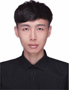 Licong Zhang