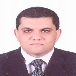 Hany A. Shawky