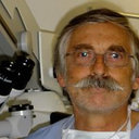 J.-C. Guimberteau