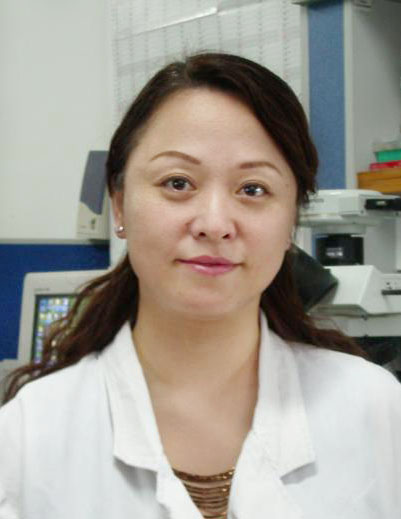 Qing Zheng