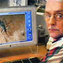Arne C. Nilssen