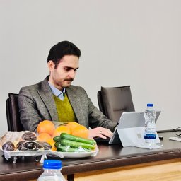 Sina Salimian