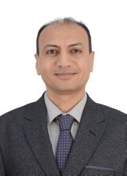 Hany Mohamed Hasanien Mohamed