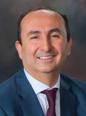 Mehmet Arik