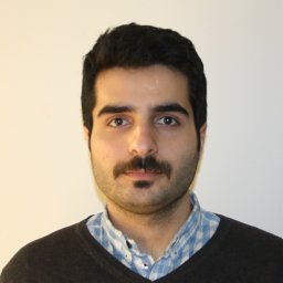 Reza Maleki Delarestaghi