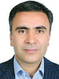 Reza Khajouei