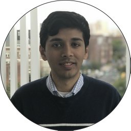 Abhinav S. Raman