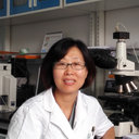 Junmei Wang