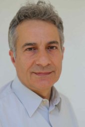 Menelaos N. Manoussakis