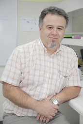 Gaston A. Munoz Vera