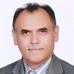 Mohammad Reza Ghane