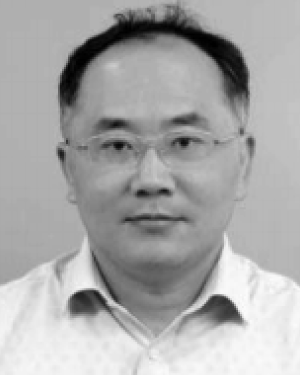 wei xu