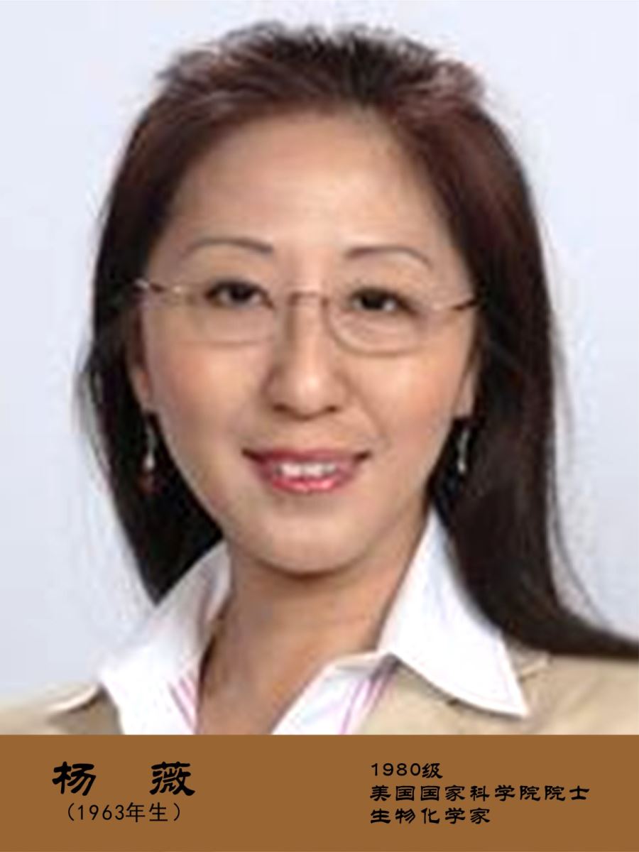 Wei Yang