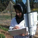 Rim Ghrib
