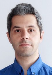 M. Shamlooei