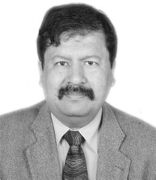Kim Mammen