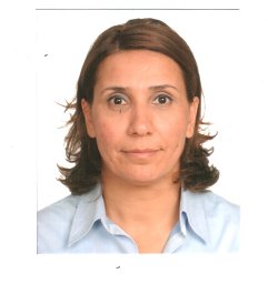 Ayfer A. Torun