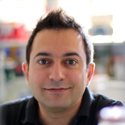 Cristofari Gaël