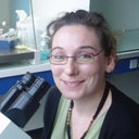 Valerie Cueff-Gauchard