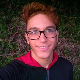 Guilherme Mattos Jardim Costa