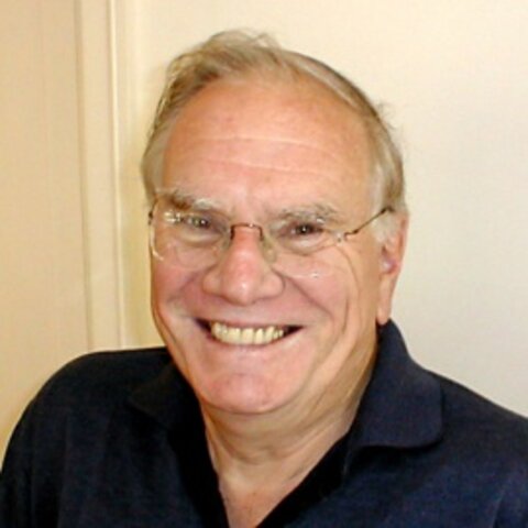 Joel H. Ferziger