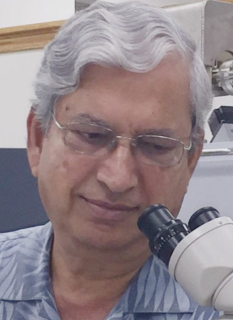Asish Basu
