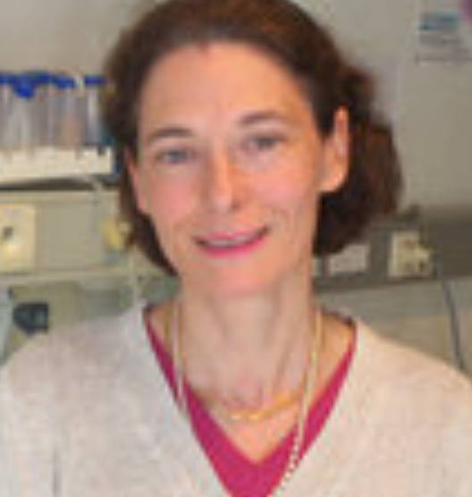 Carine Van Lint