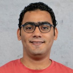 Mohamed S Sarhan
