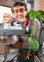Elaine A. Backus