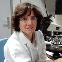 M. Merce Bergada
