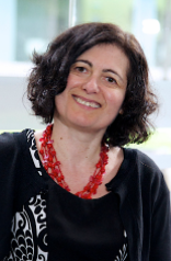 Adisa Azapagic